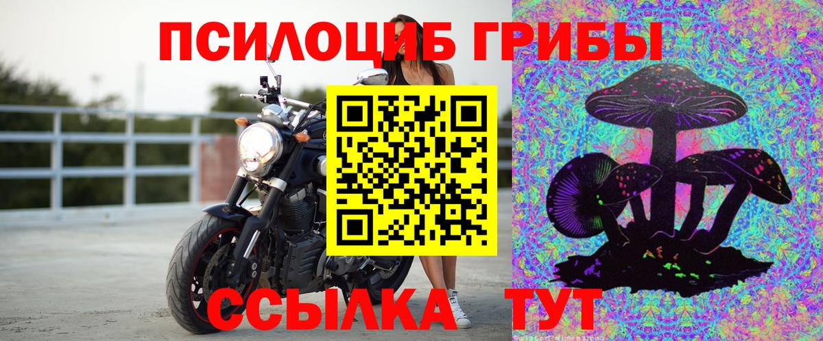 Галлюциногенные грибы MAGIC MUSHROOMS Новозыбков