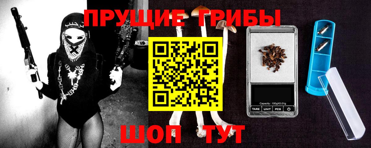 Псилоцибиновые грибы GOLDEN TEACHER  купить наркоту  Новозыбков  Вход с VPN 